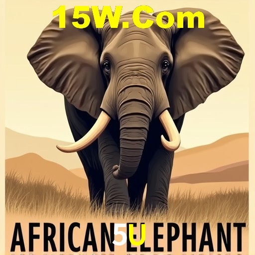 Interface Premium 5U